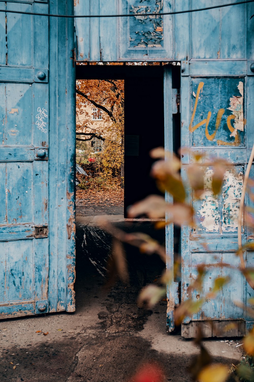 opened blue door