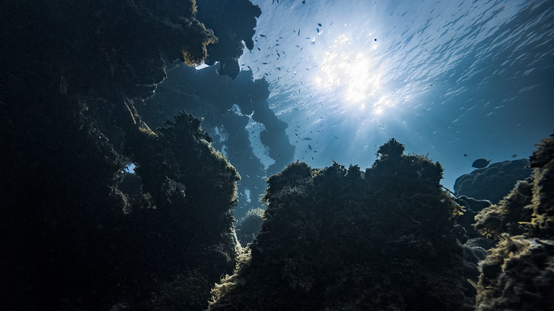 under water view