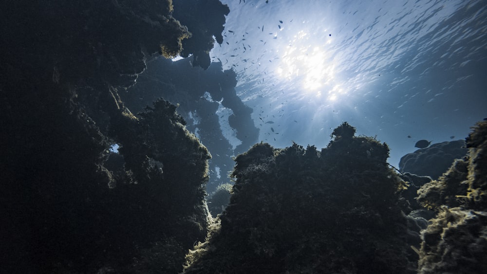 Vista bajo el agua