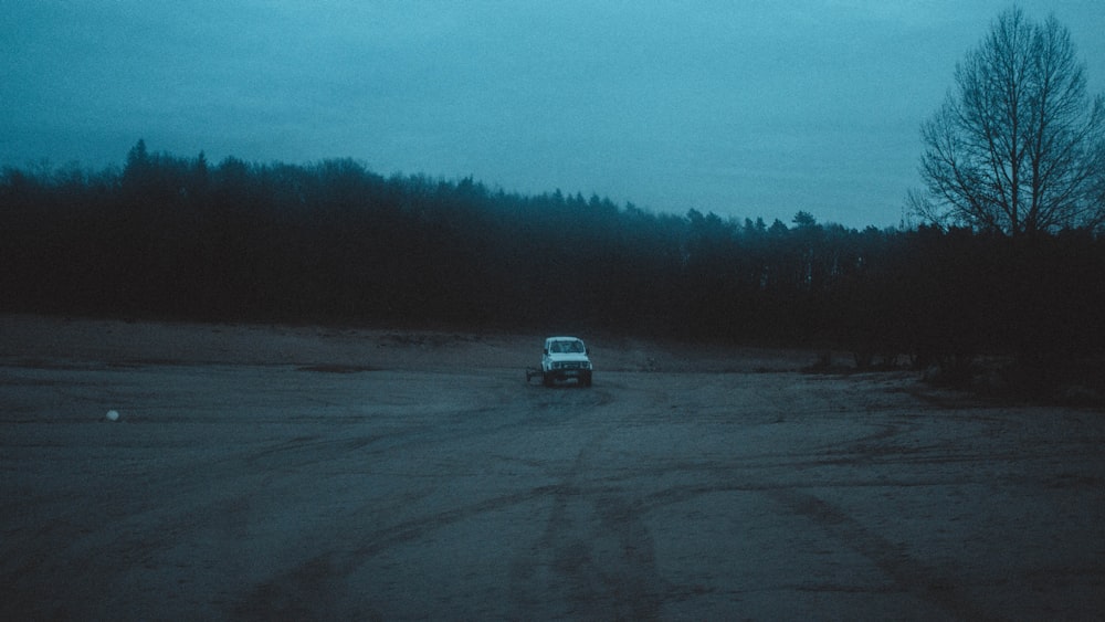 white car travelling at forest