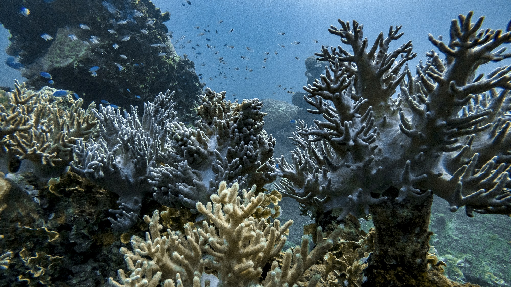 Exploring Serene Micronesia: A Comprehensive Travel Guide