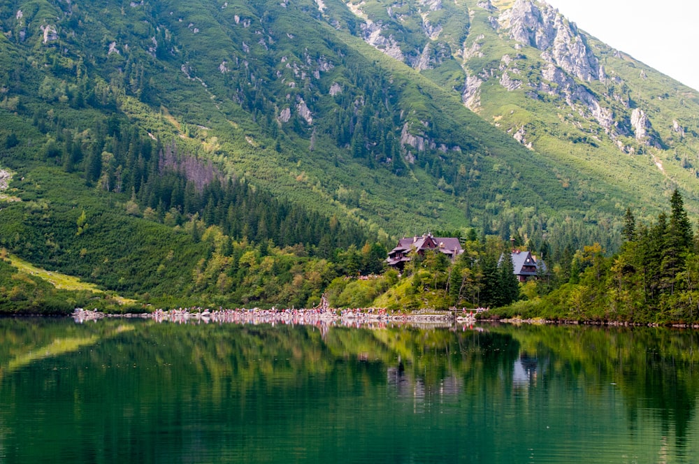 house near lake surrounded with trees on mountain view