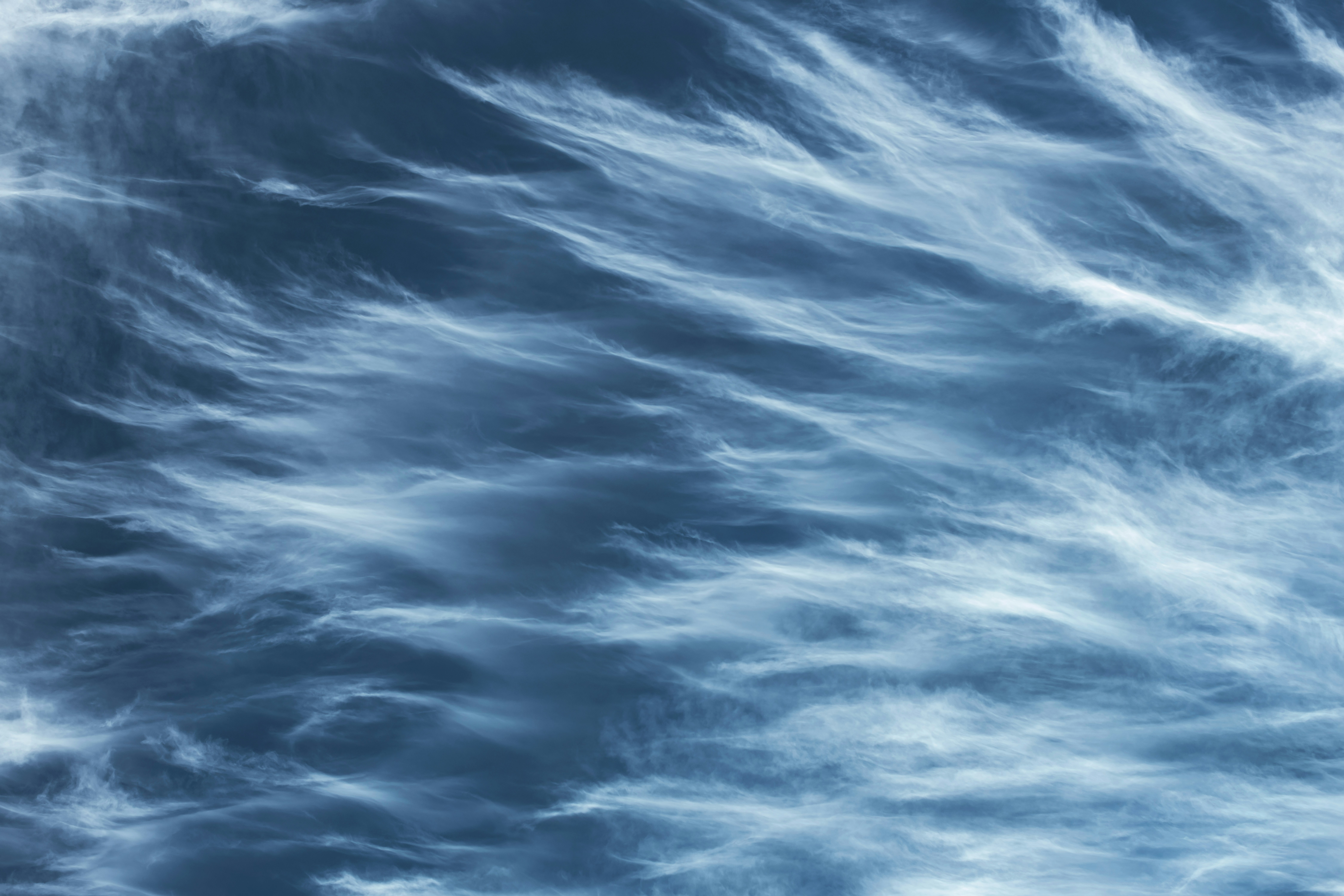 Photo by timmossholder