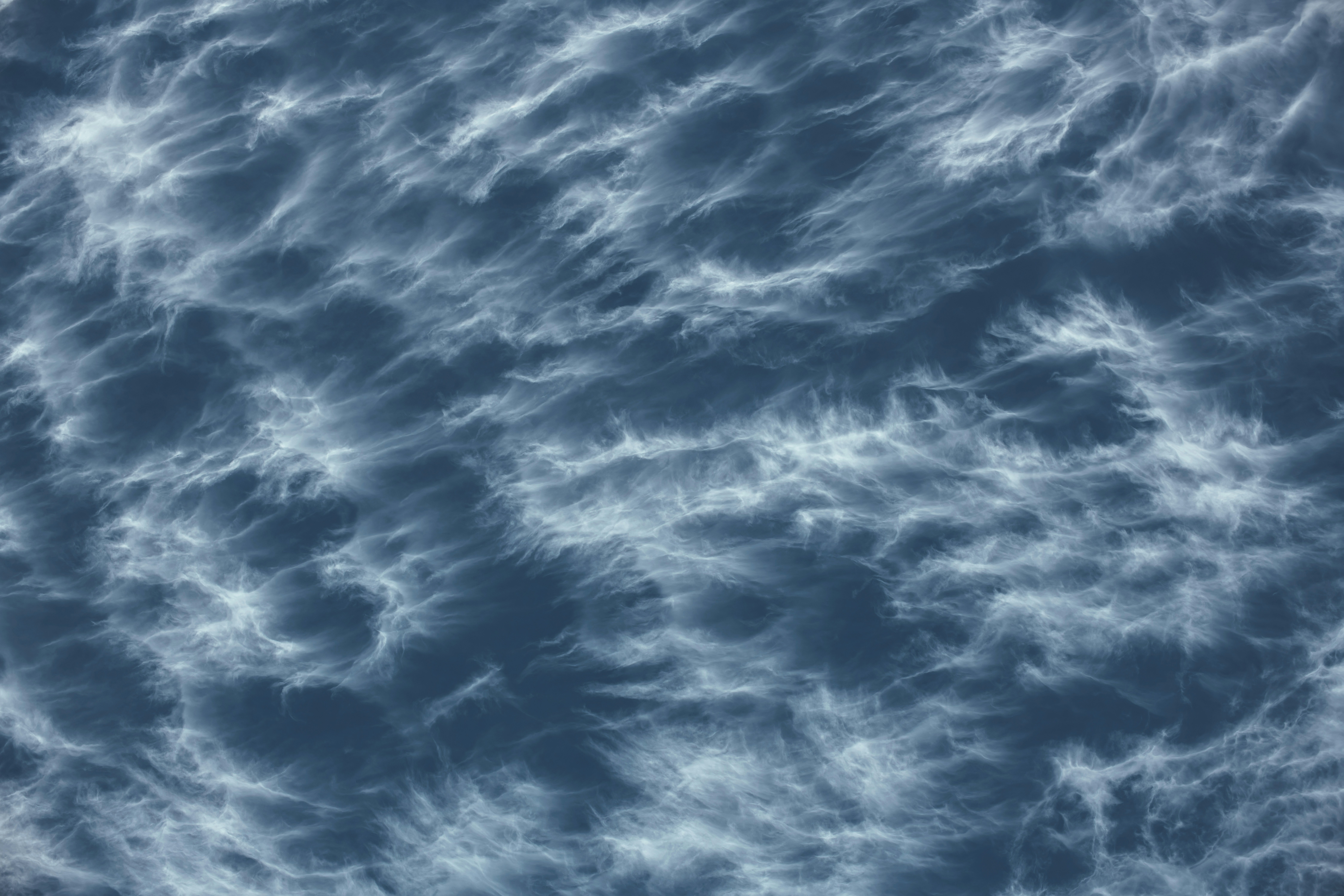 Photo by timmossholder