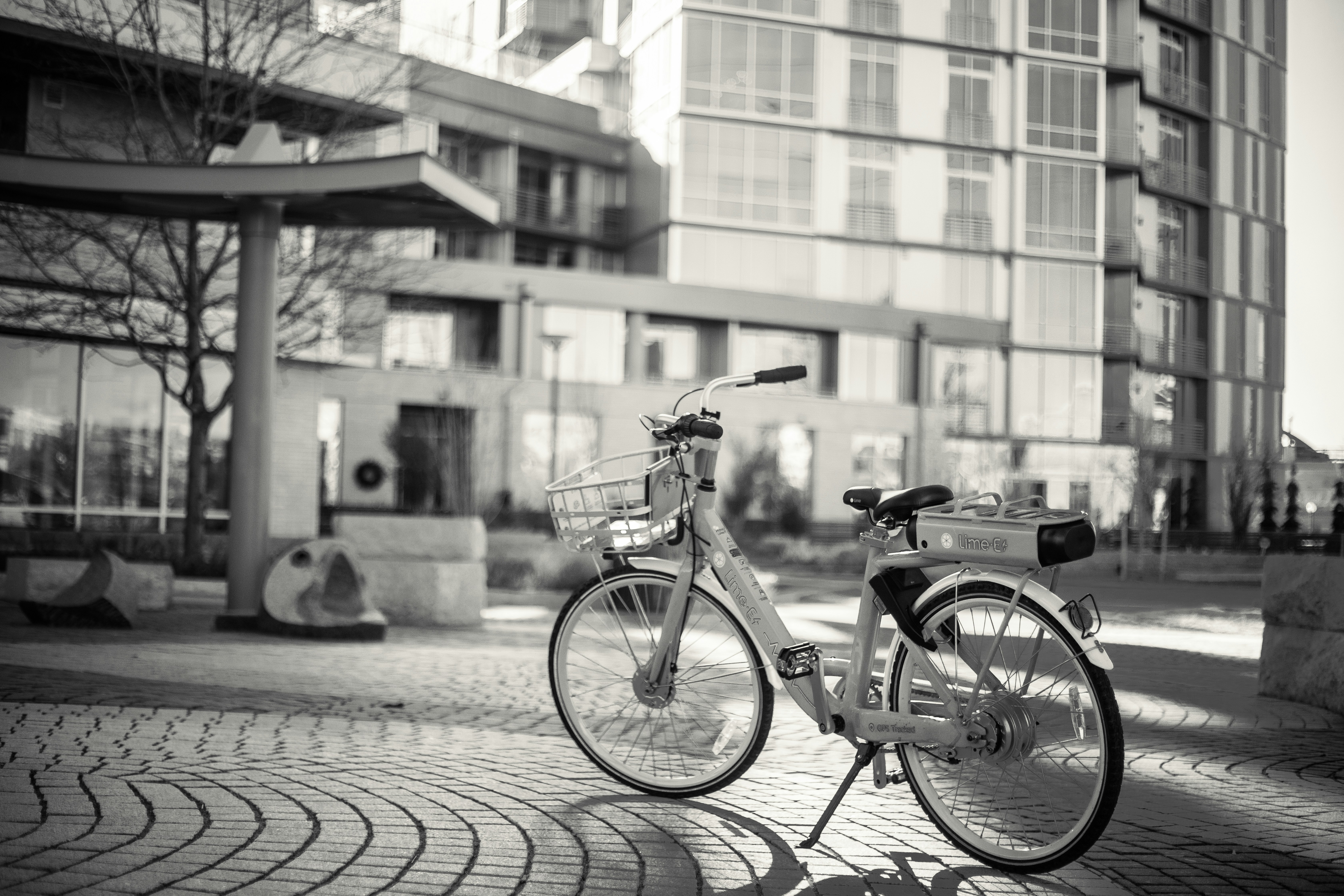 Photo by photosoflogan