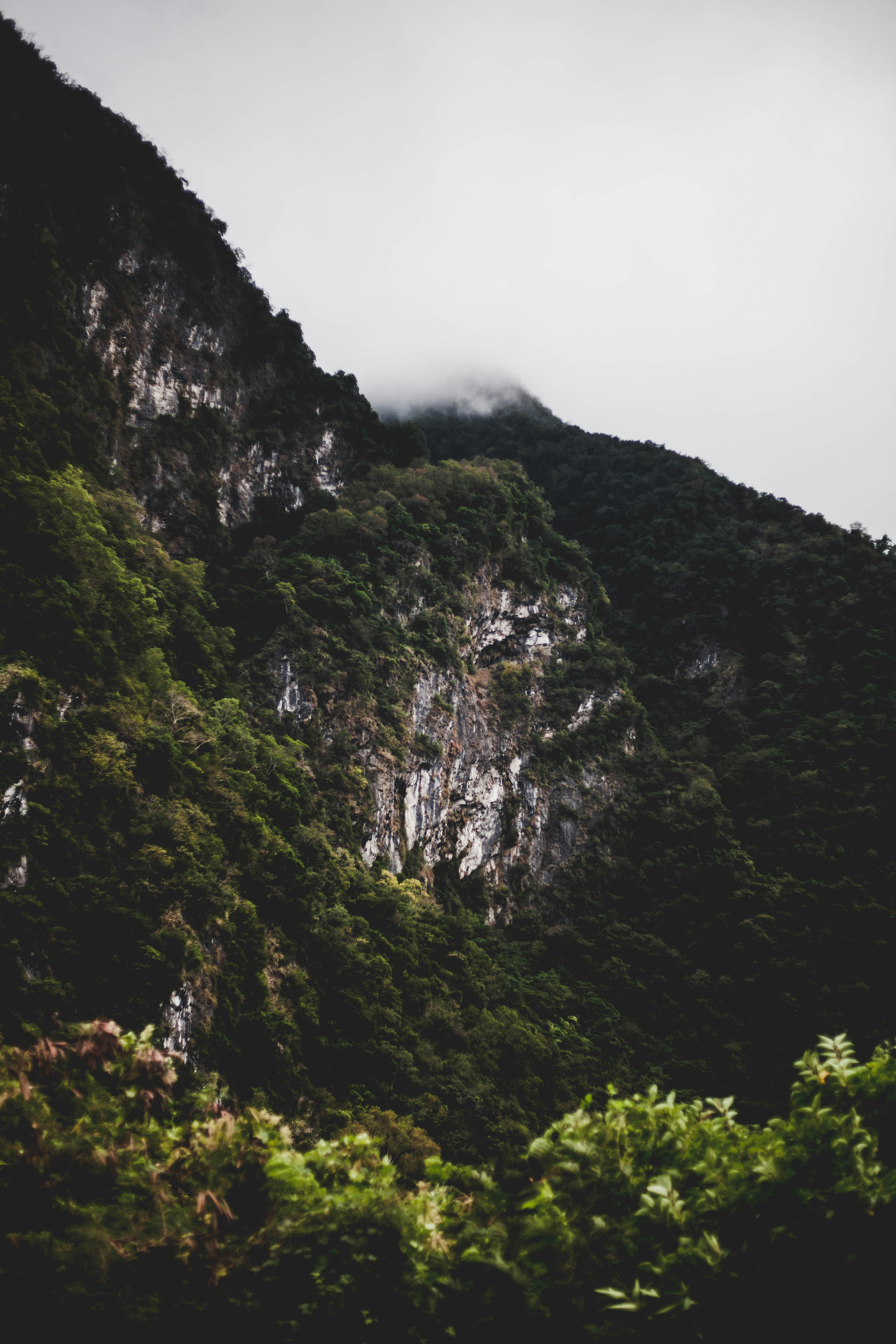 Photo by charlespostiaux