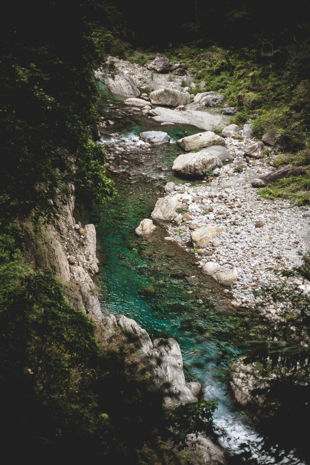 lake between tall trees