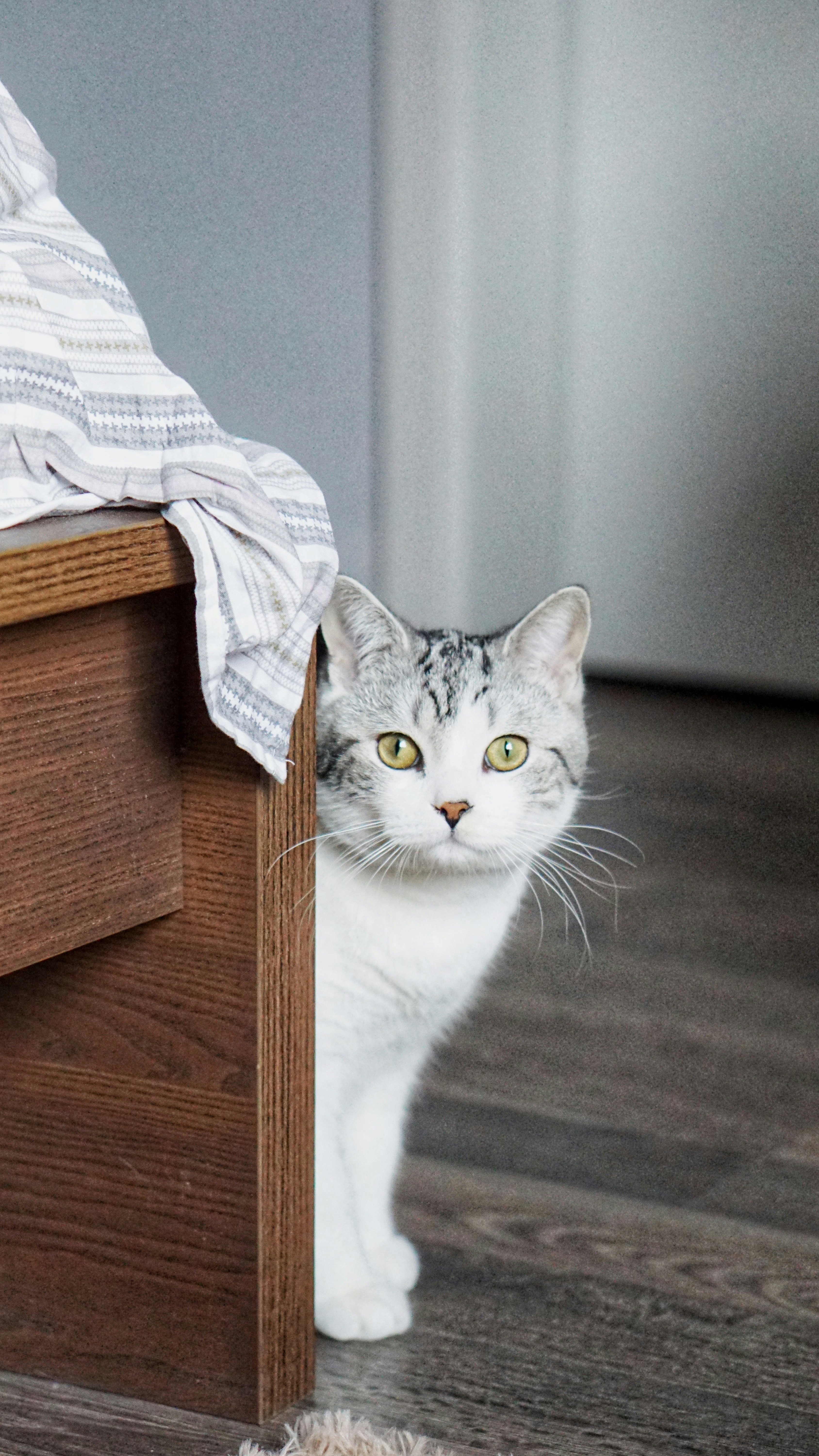 Photo by sevenbenzema