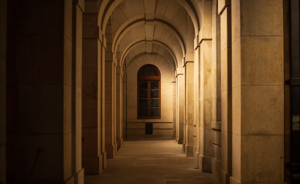 brown concrete pathway