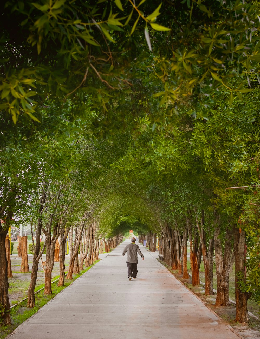 man walking on road in middle of trees during daytime