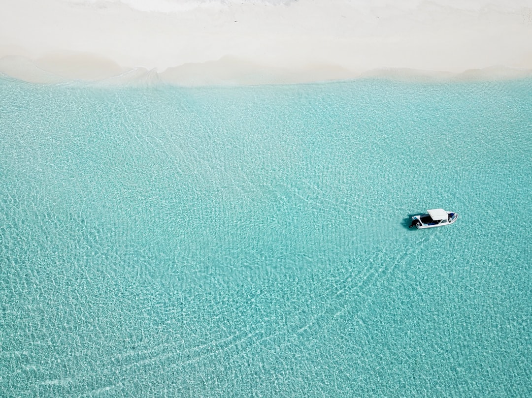 boat on body of water