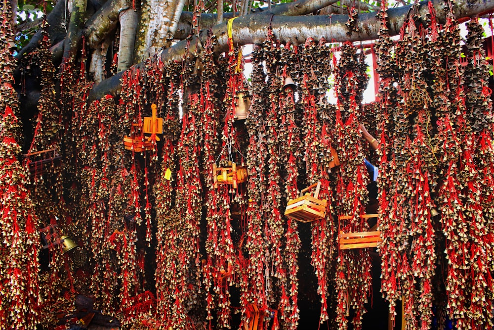 assorted hanging decors on tree