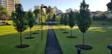 A clean, maintained urban green space with freshly pruned trees and clear walkways.