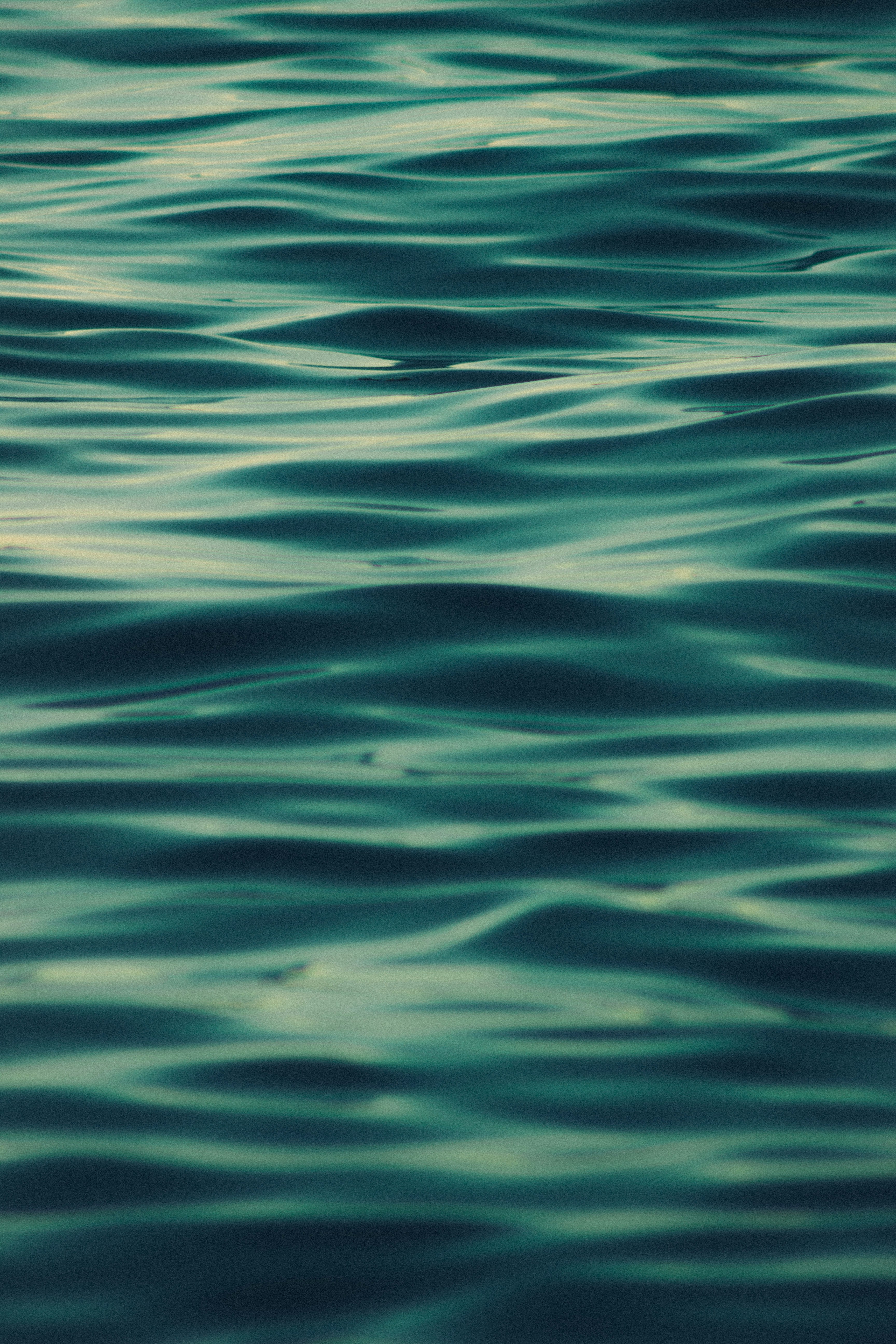 Photo by ismail_yanim