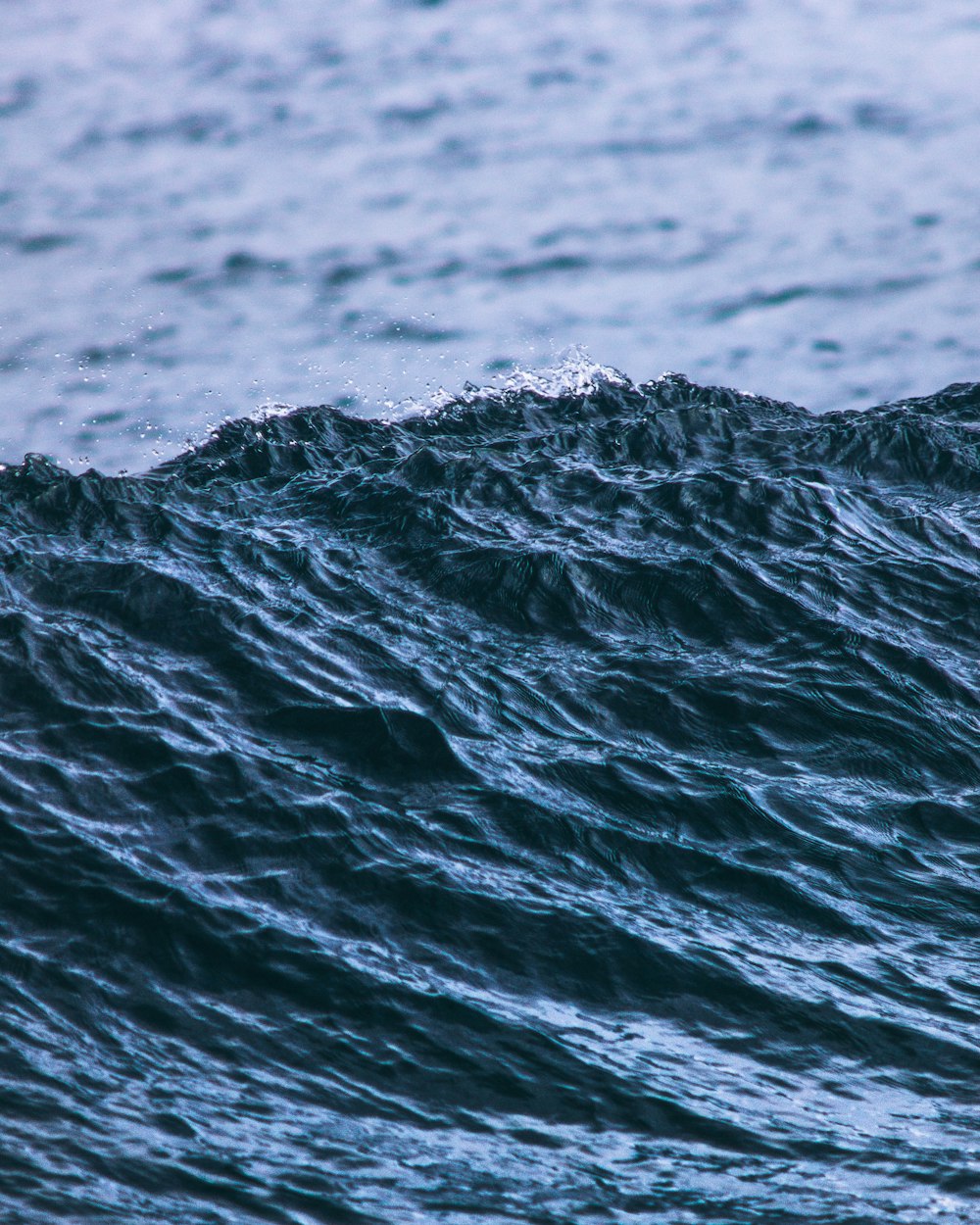 wave of body of water