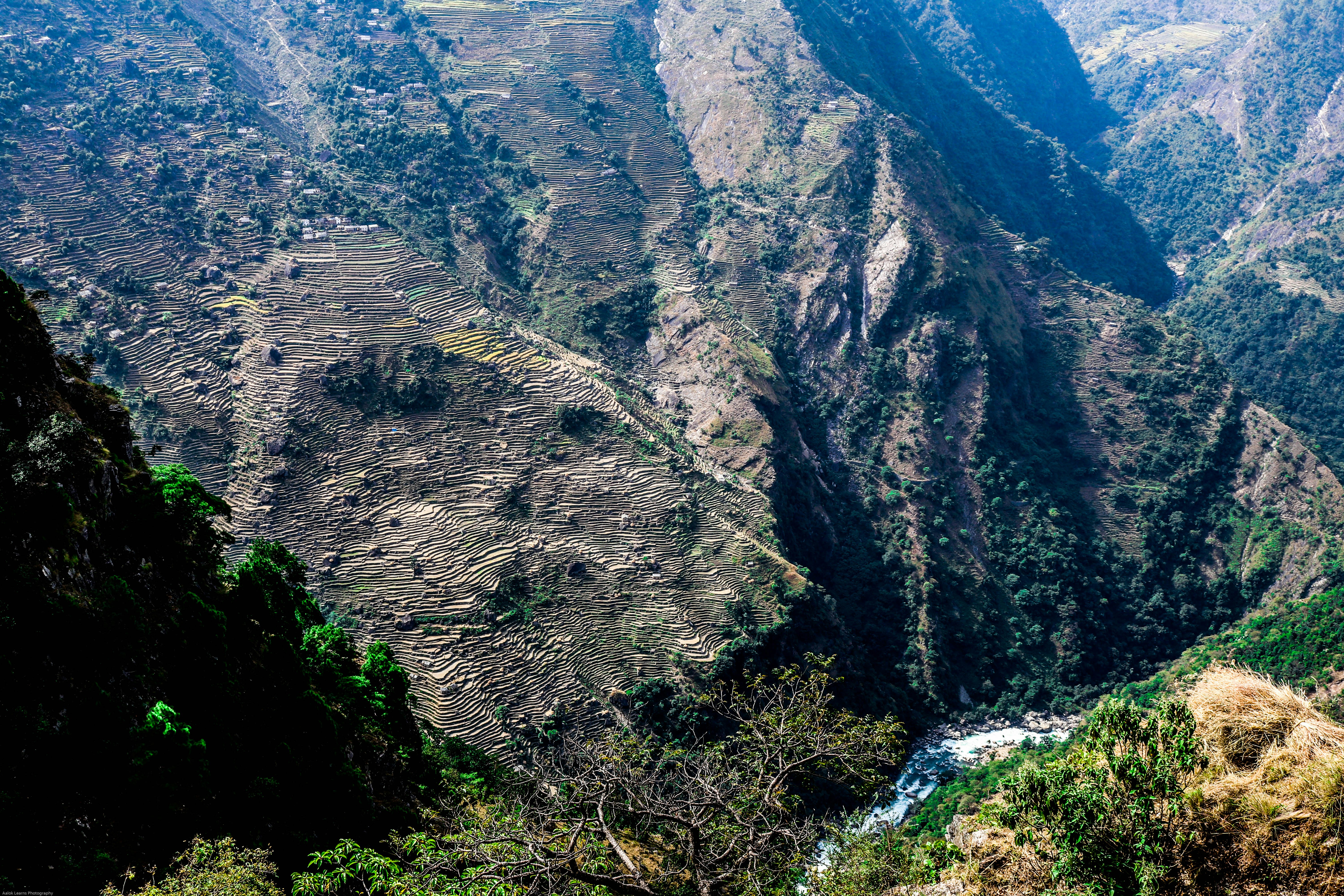 Photo by aalokatreya