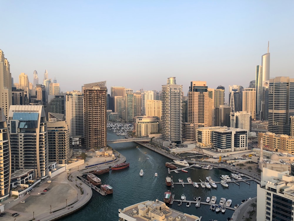 high rise buildings near calm water at daytime