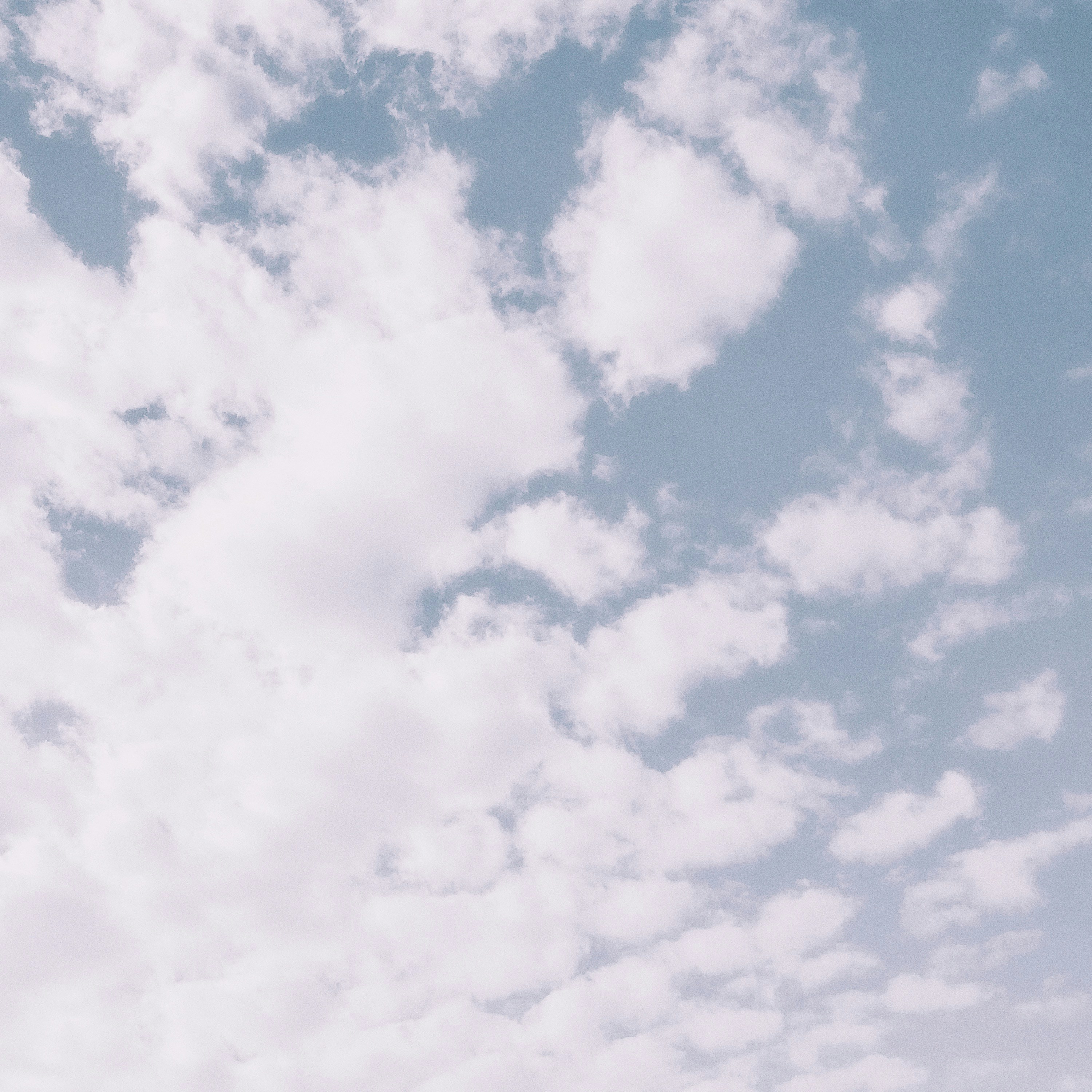 Photo by lemodernaffliction