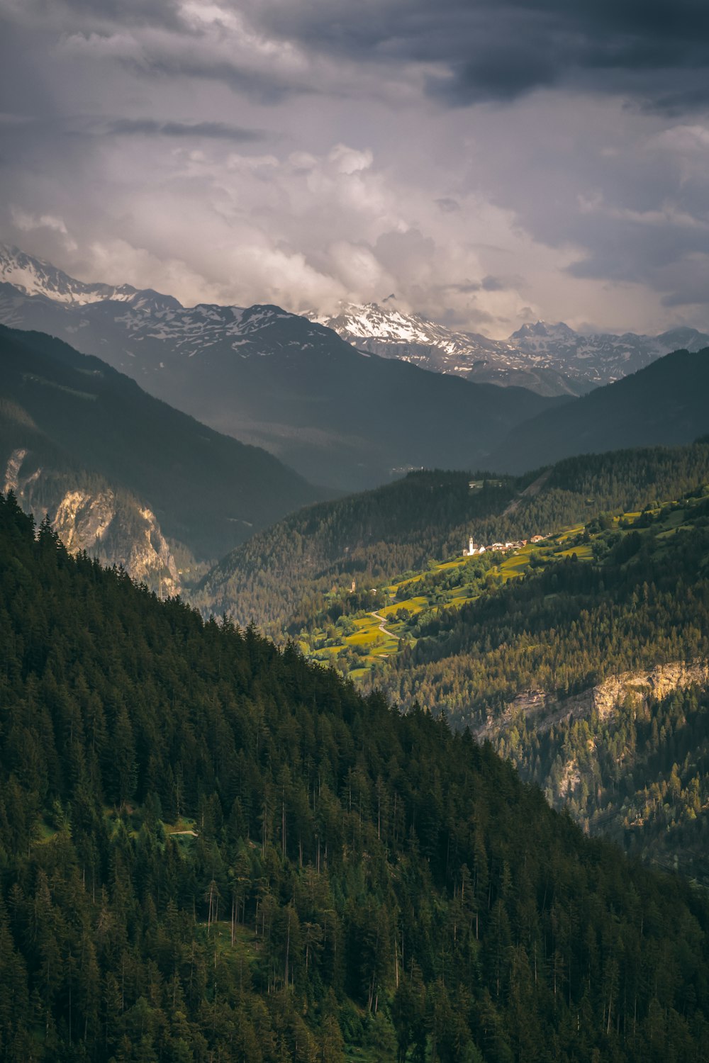 tree covered mountains during day