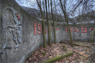 A concrete wall with faded red inscriptions '1939 - 1945', partially obscured by bare trees. There is also a relief of a soldier’s head with a red star on the helmet. The ground is covered with dry leaves and patches of moss. The background shows parts of a building with a cloudy sky overhead.