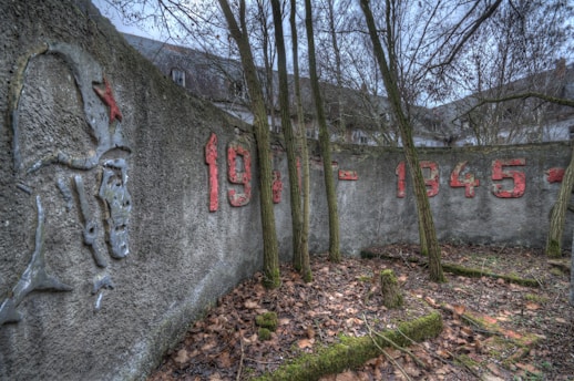 A concrete wall with faded red inscriptions '1939 - 1945', partially obscured by bare trees. There is also a relief of a soldier’s head with a red star on the helmet. The ground is covered with dry leaves and patches of moss. The background shows parts of a building with a cloudy sky overhead.