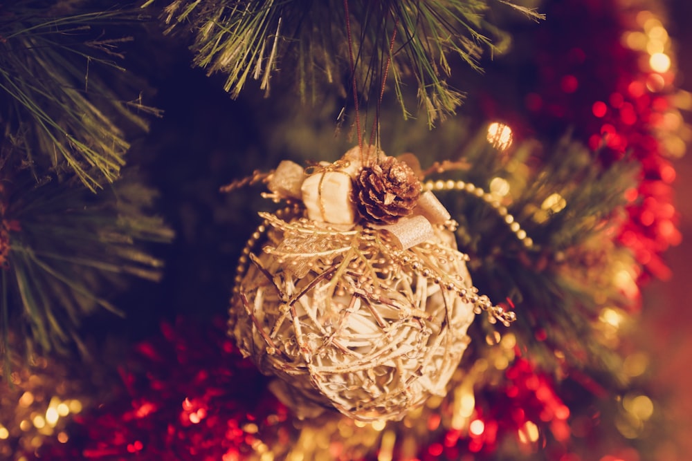 macro photography of brown baubles