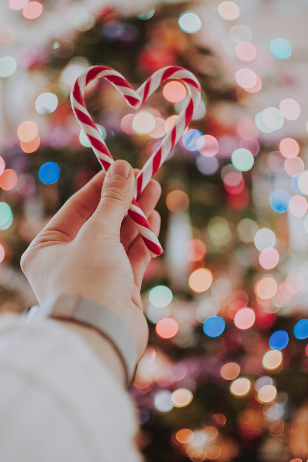 bokeh photography of person holding heart-shaped candy