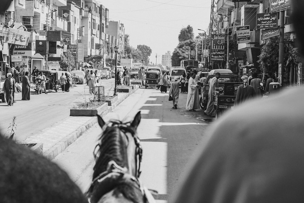 horse riding person at the street with people and cars