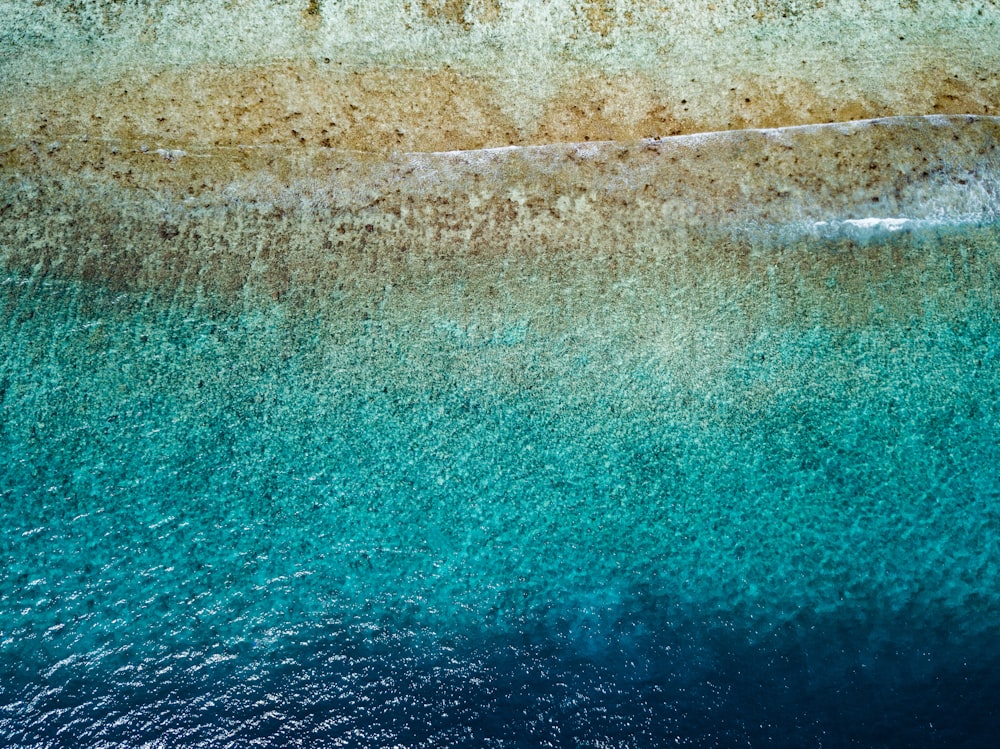 aerial photography of shore