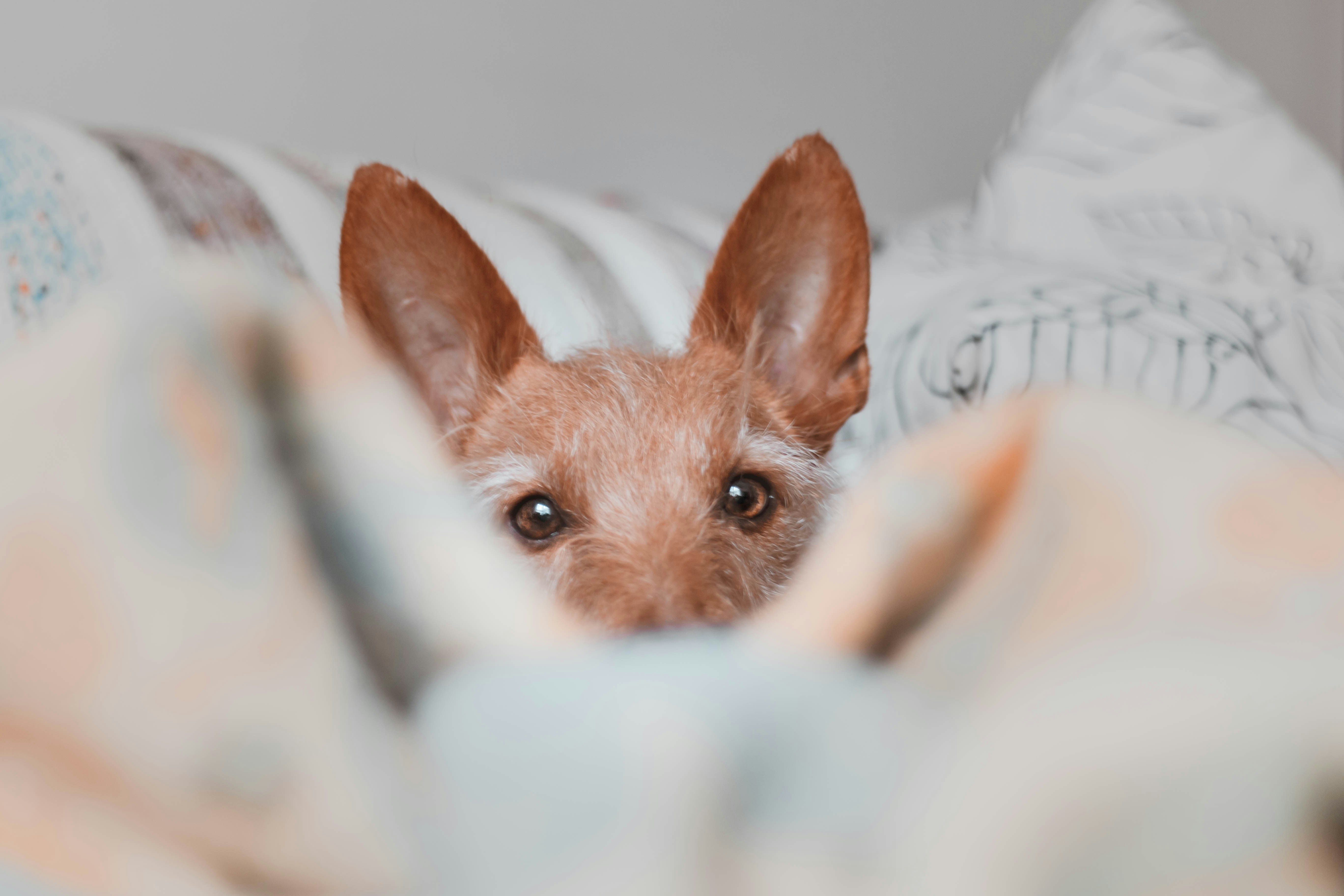 Photo by claudiamanas