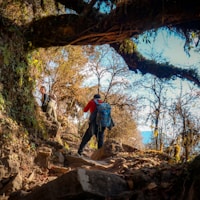 Mardi Himal Trek