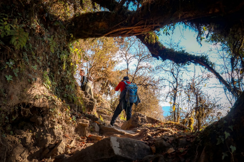 man climbing on mountain under tree during daytime