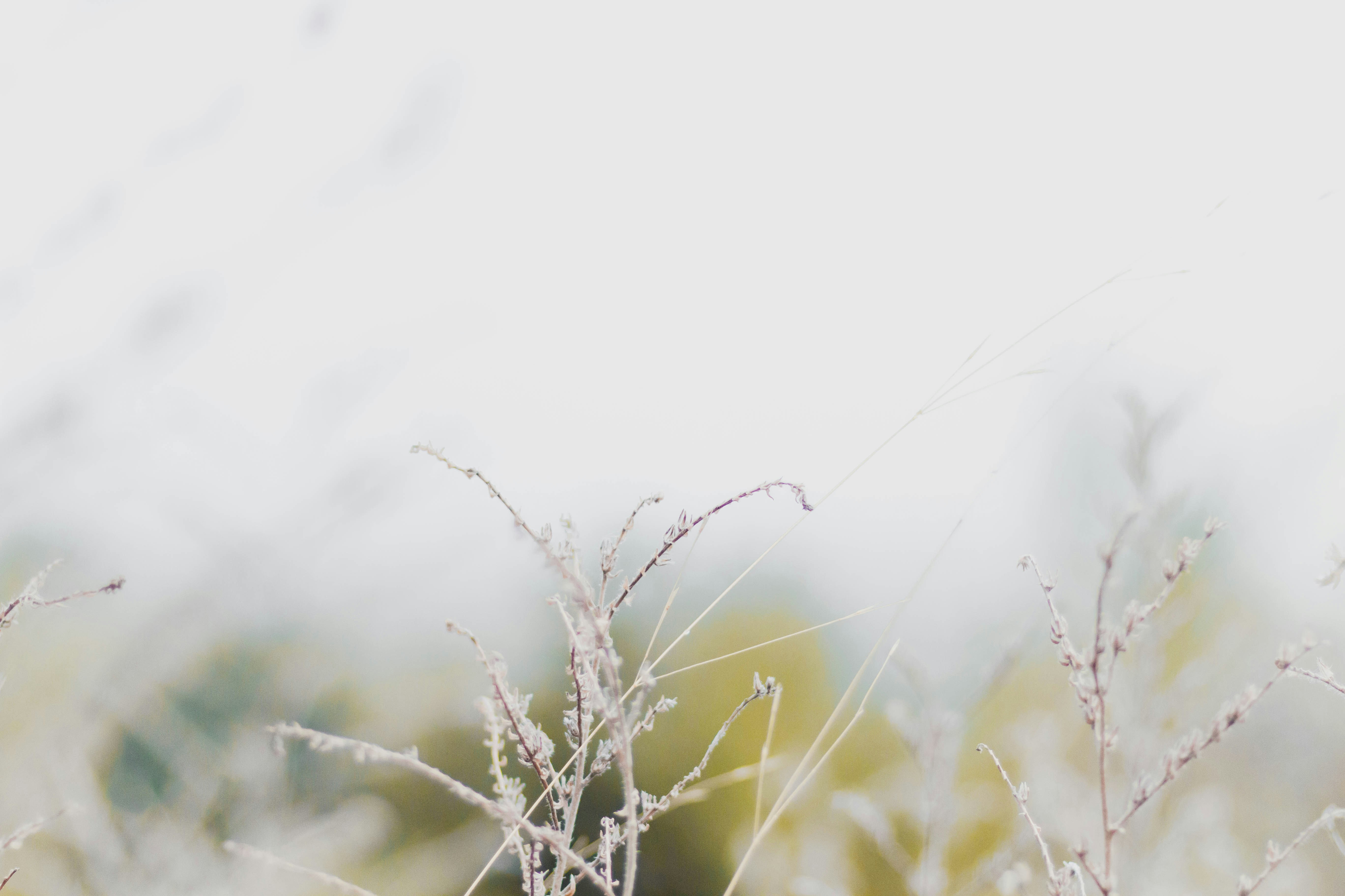 Photo by claudiamanas