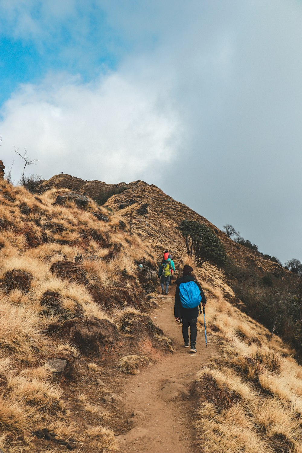 person walking on trail