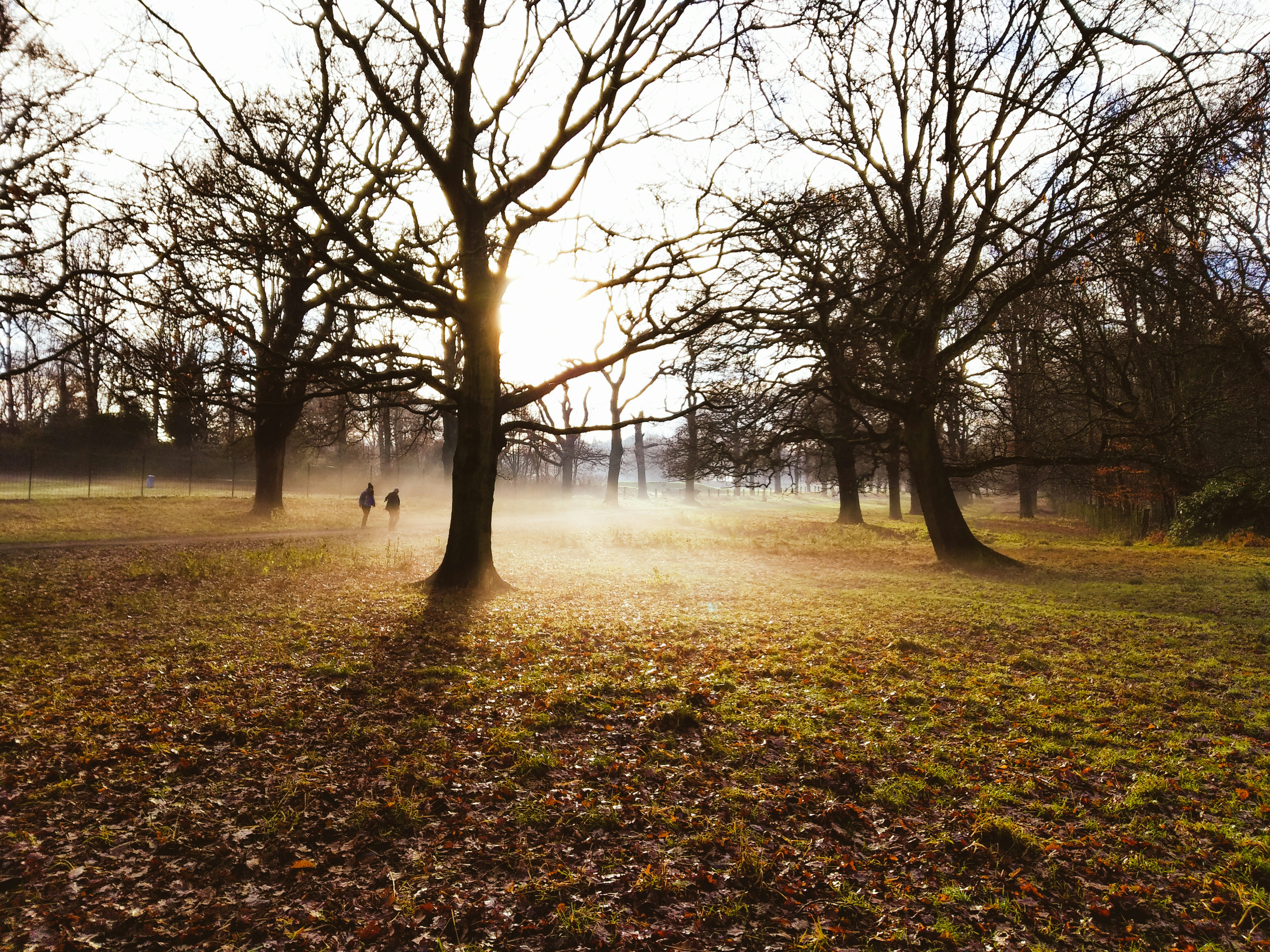 Photo by elliottmatthews