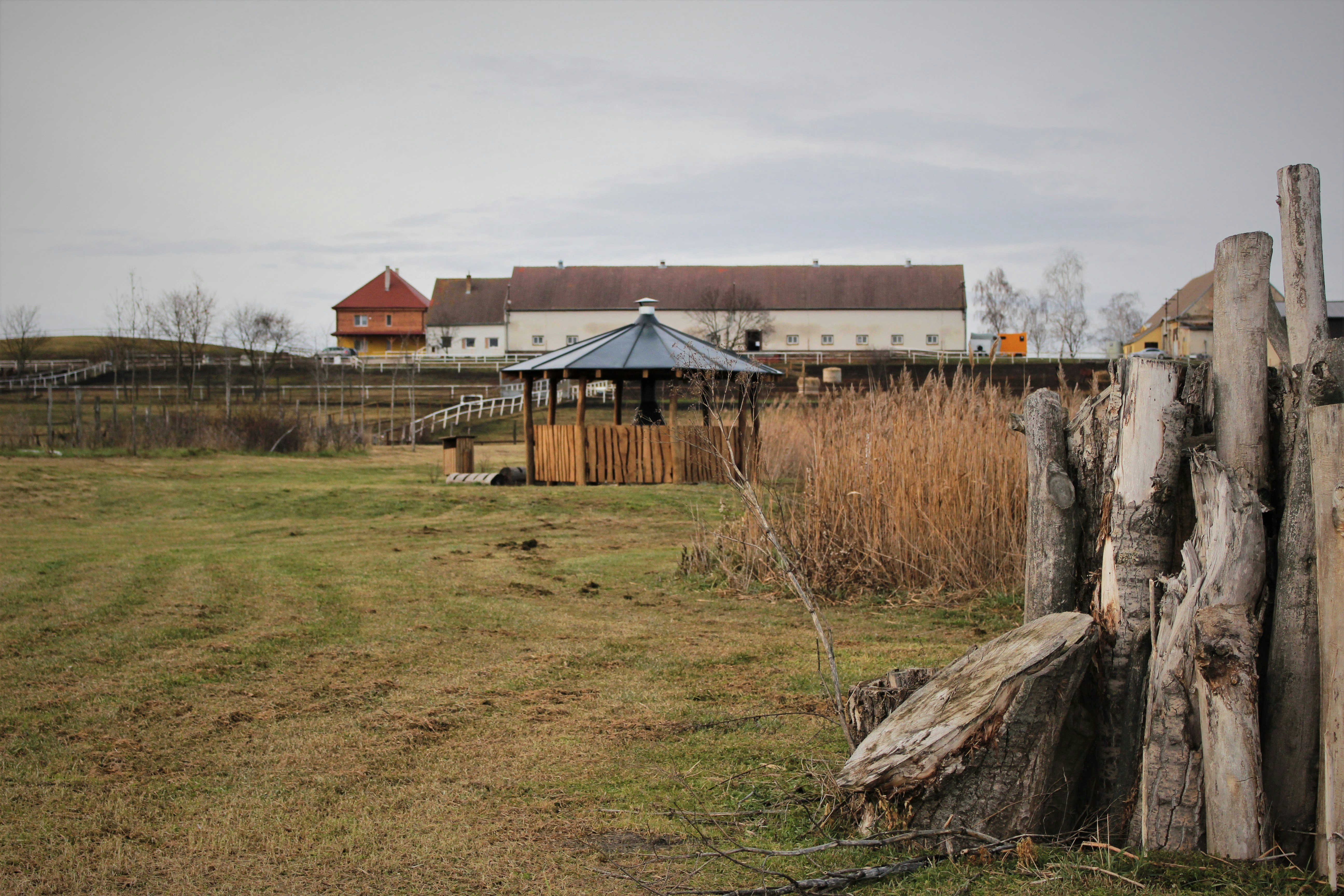 Photo by marjorylucabaxter