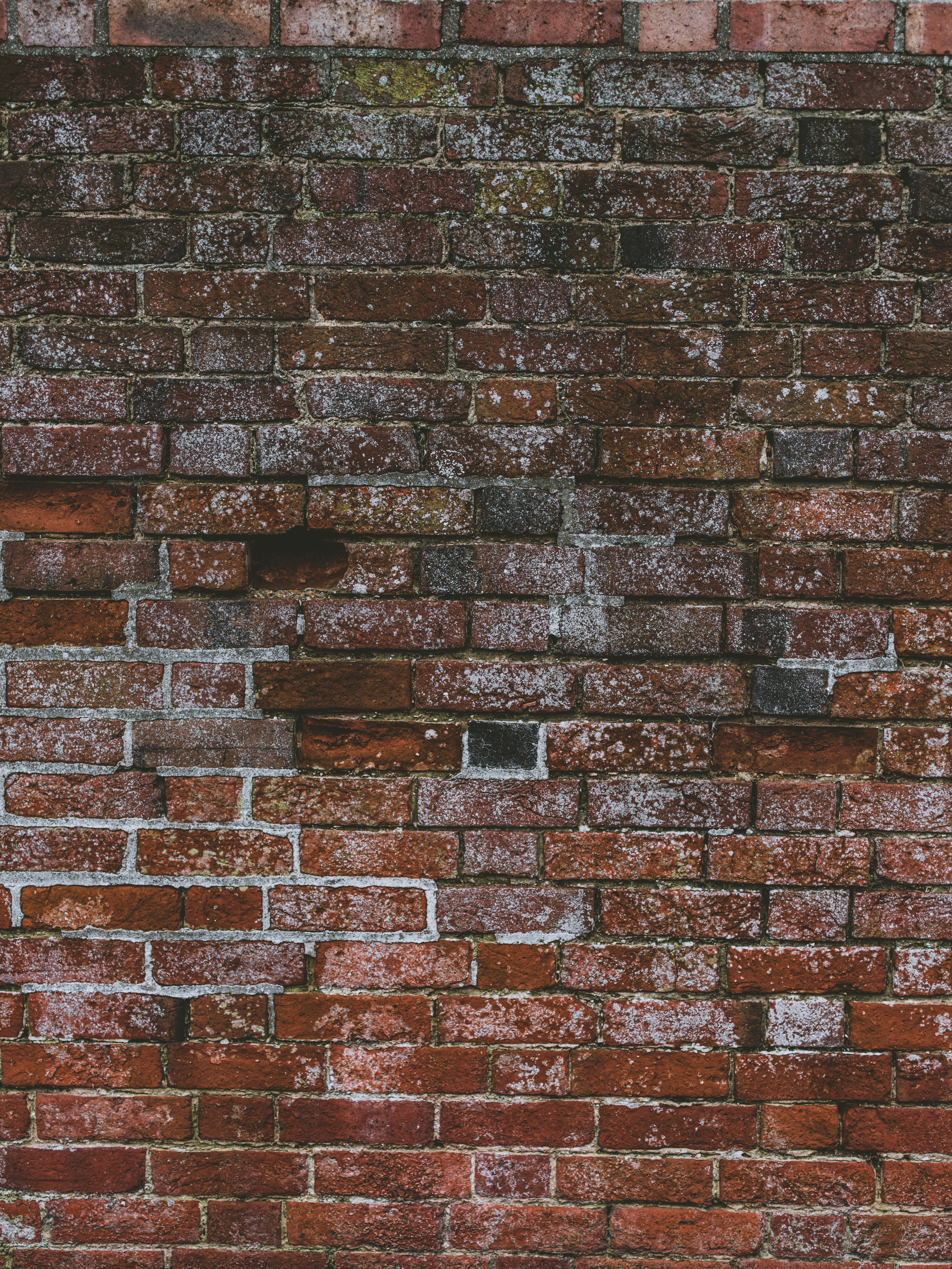 Photo by anniespratt