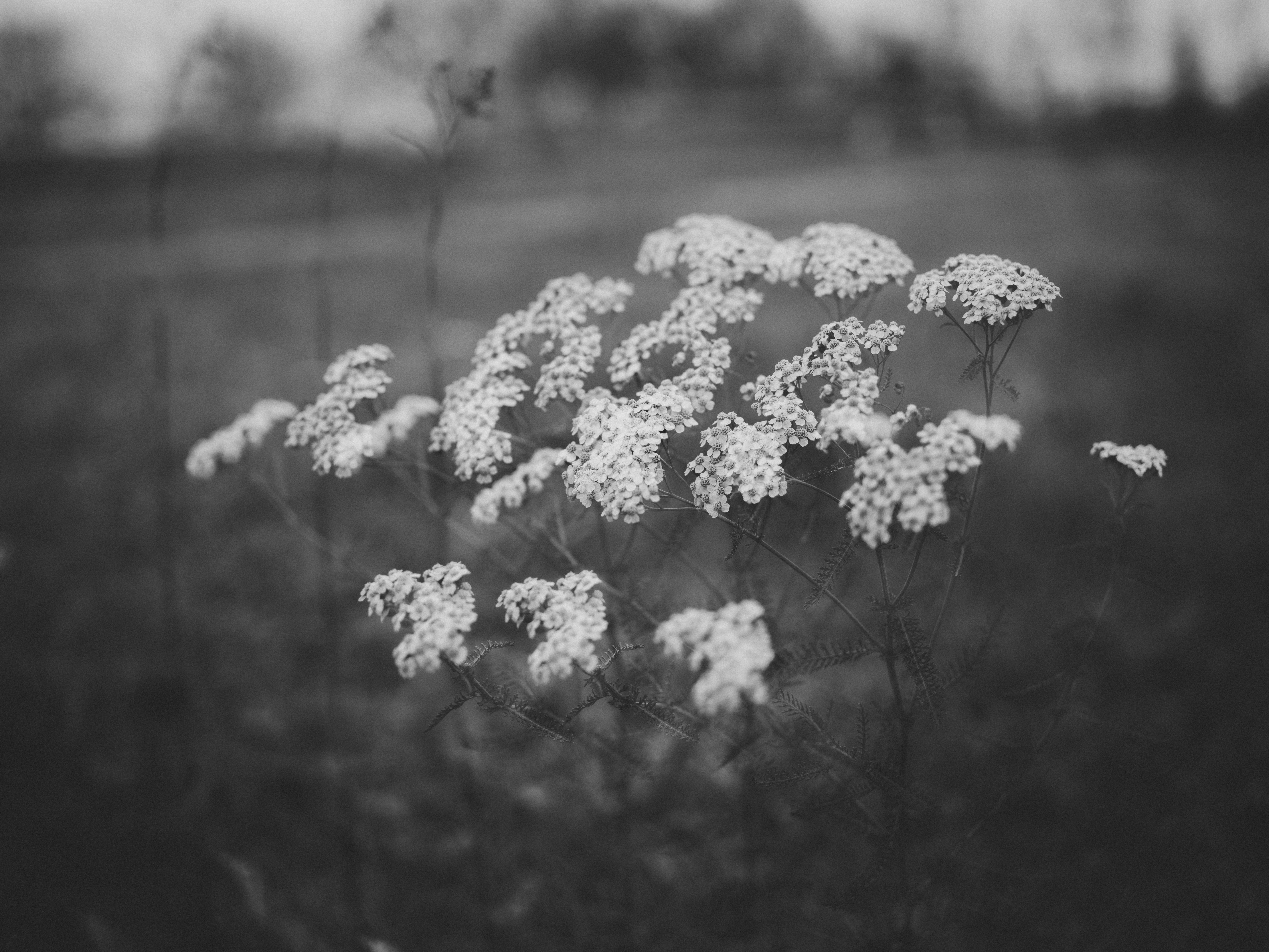 Photo by anniespratt