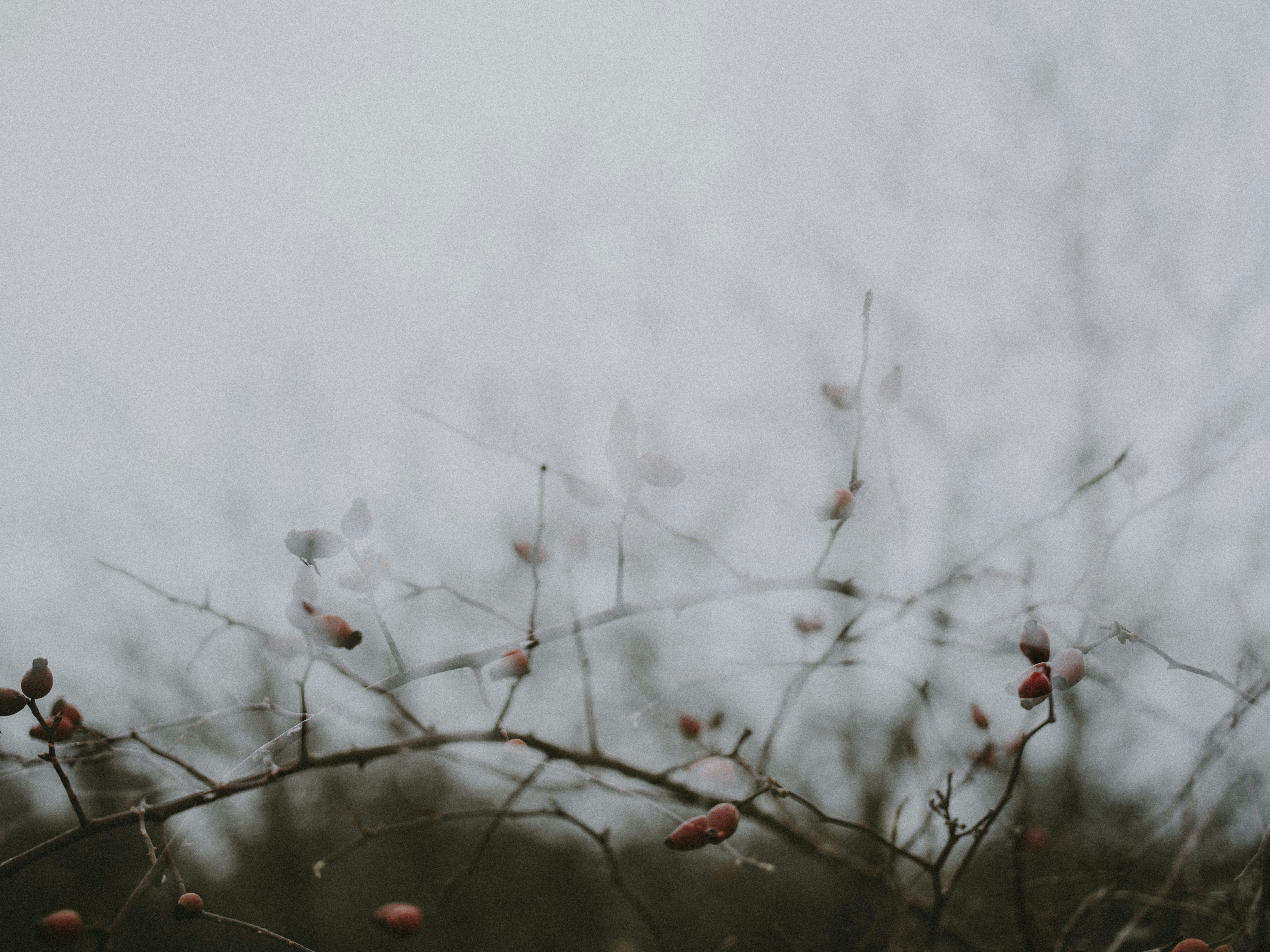 Photo by anniespratt