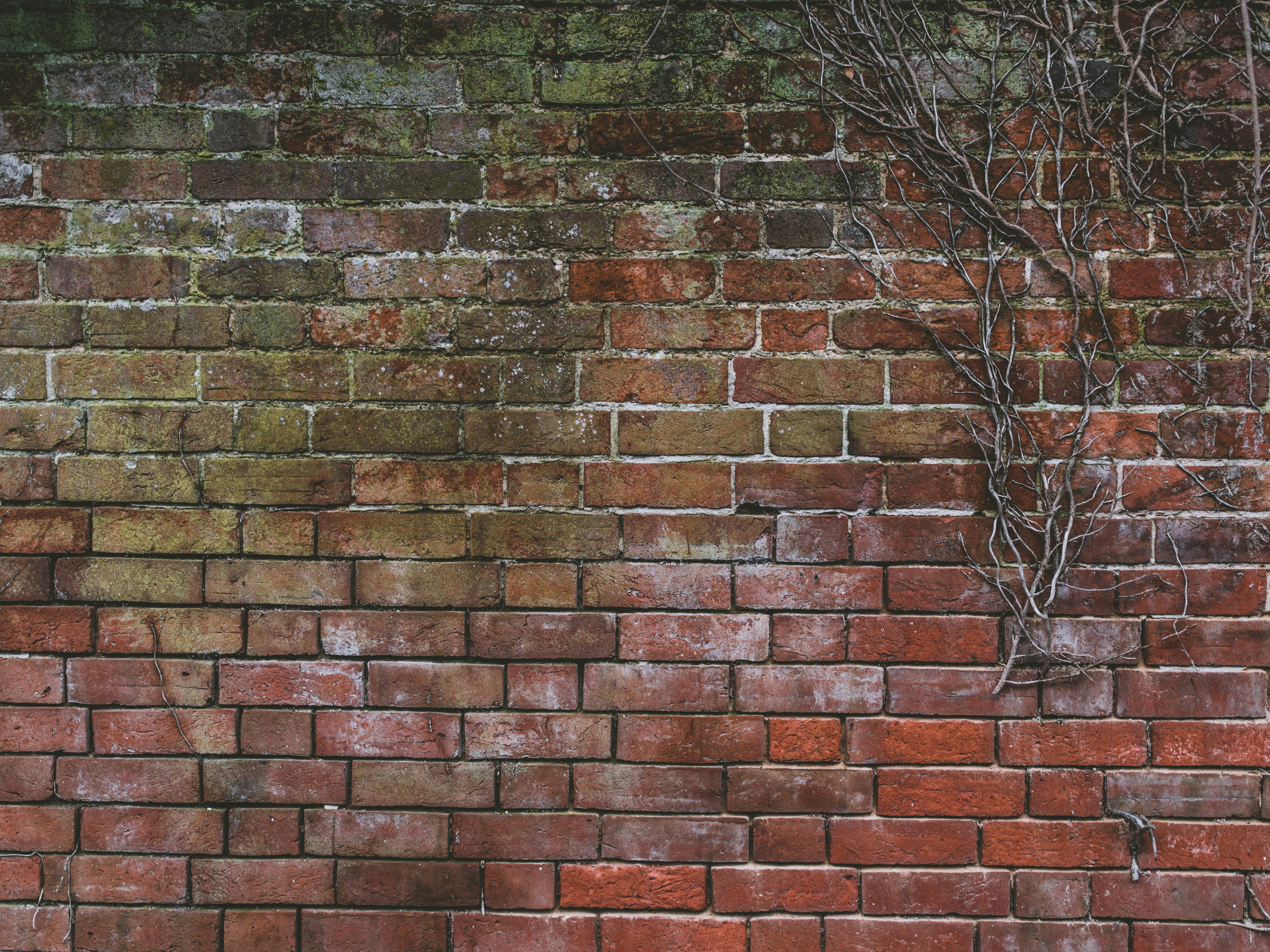 Photo by anniespratt