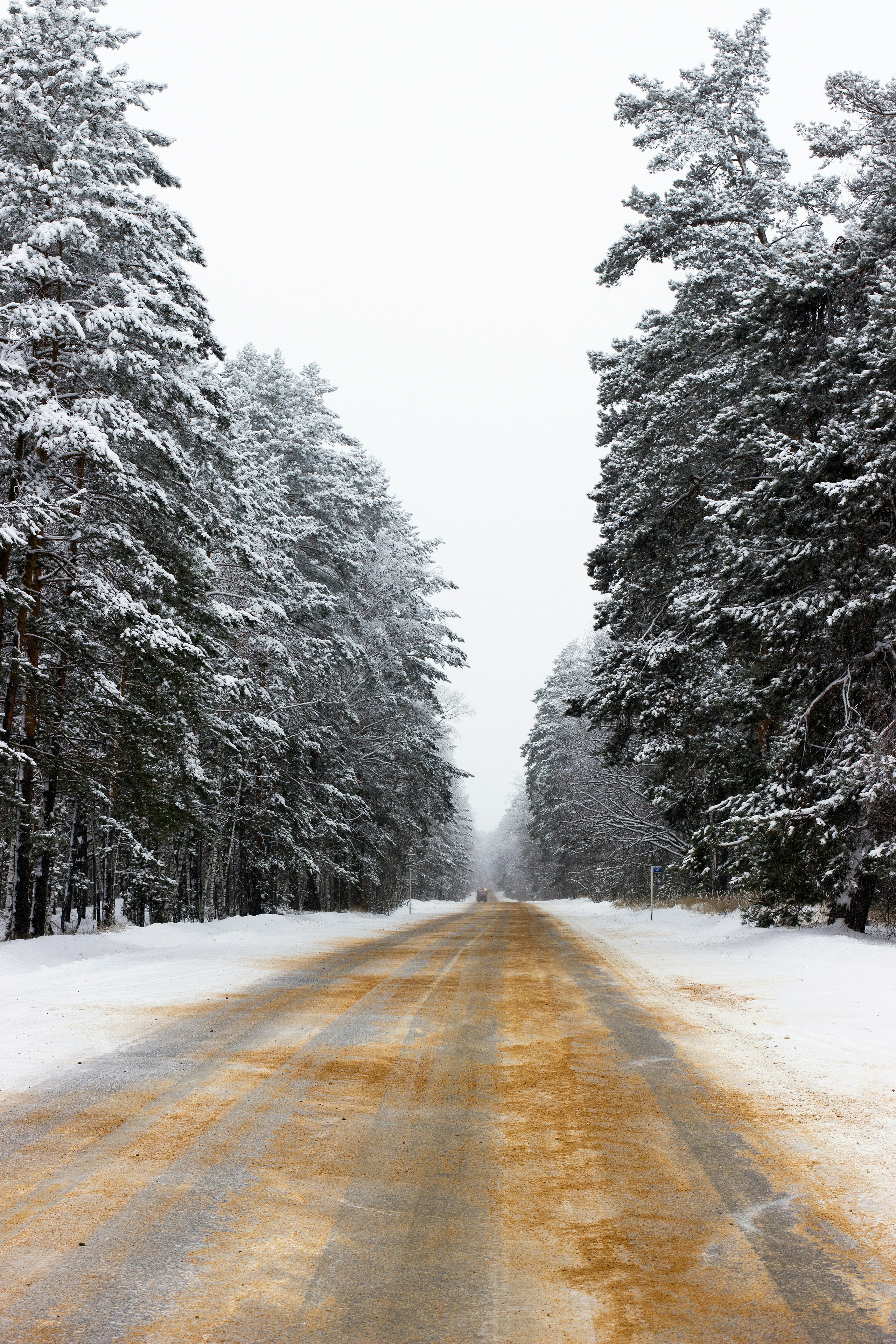 Photo by miklevasilyev