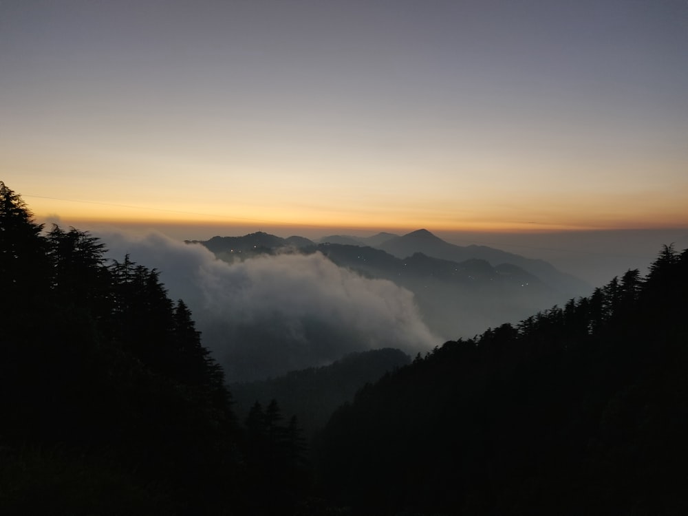 mountains covered in fog