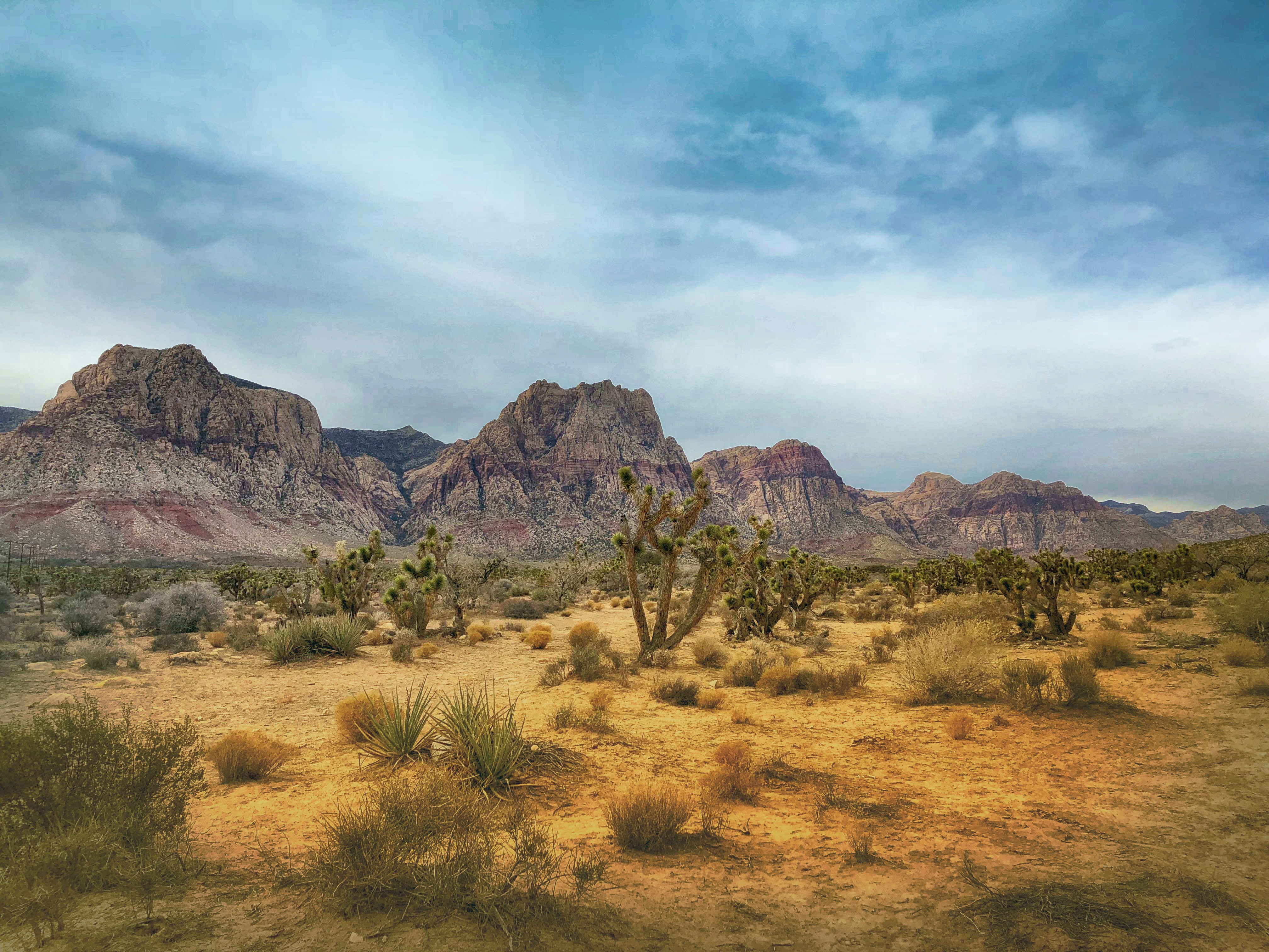 Red Rock Canyon