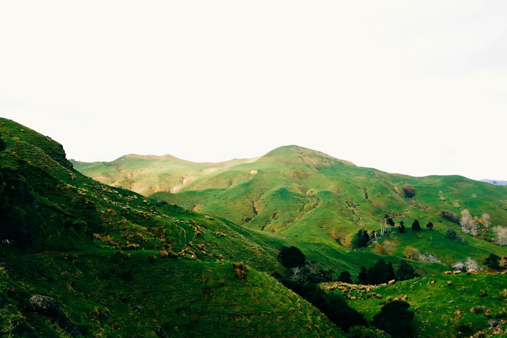 green mountains