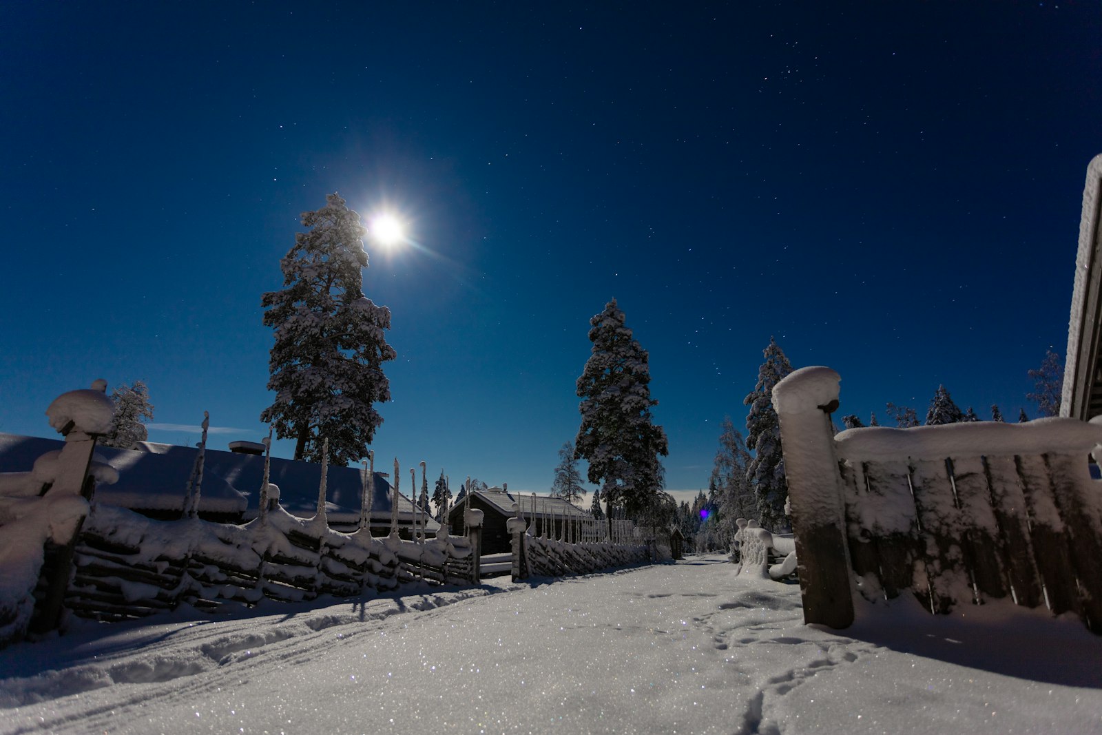 Canon EOS 5DS R + Canon EF 17-40mm F4L USM sample photo. Trees surrounded by snow photography