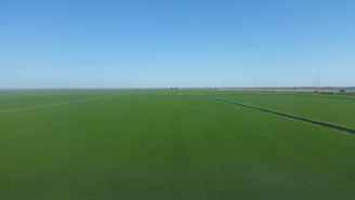 Green open land plot ready for development with clear boundary markers.