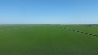 Green open land plot ready for development with clear boundary markers.
