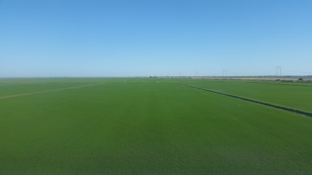 Open land with clear horizon and potential for investment development