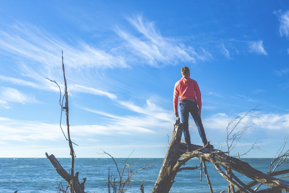 man standing on tree near body of water