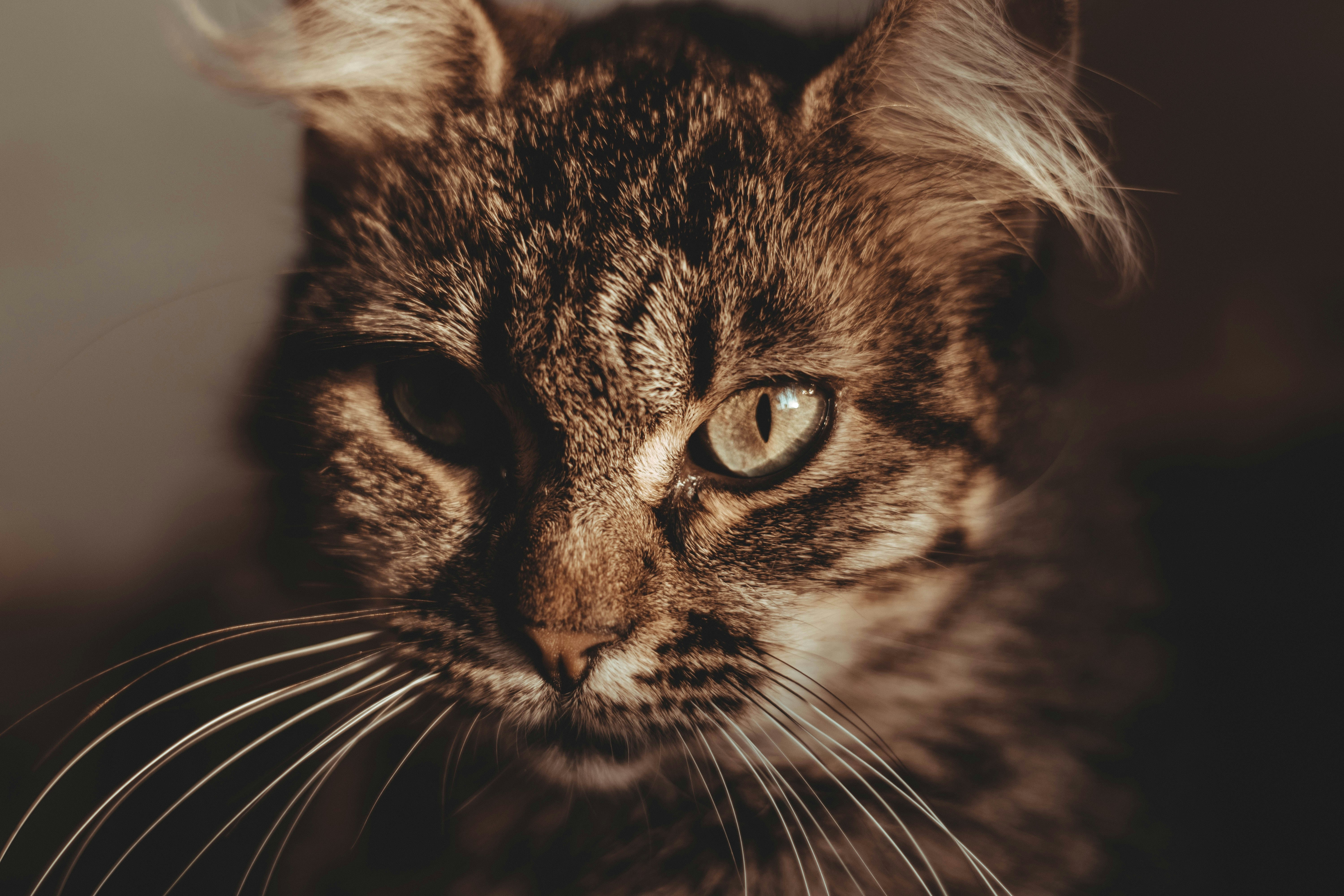 Photo by fraynavarro